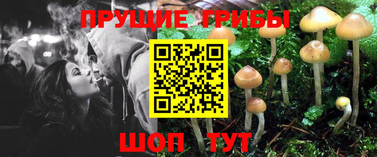 Галлюциногенные грибы мухоморы  даркнет сайт  Мценск  Галлюциногенные грибы MAGIC MUSHROOMS  Вход с VPN 