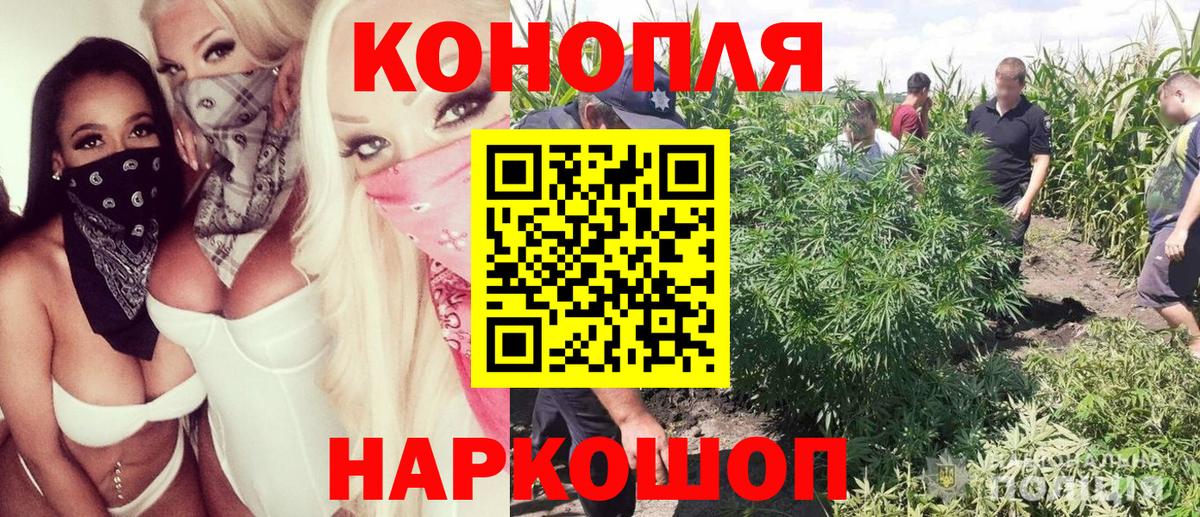 Каннабис гибрид Мценск